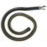 Тэн к плите Мечта Тэн к плите Мечта